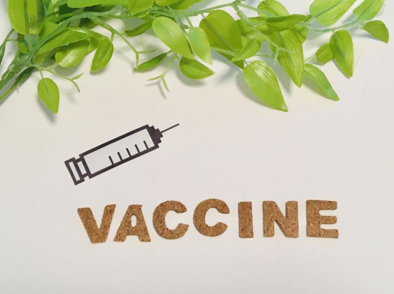 みなとみらいで健康を守る地域医療の魅力