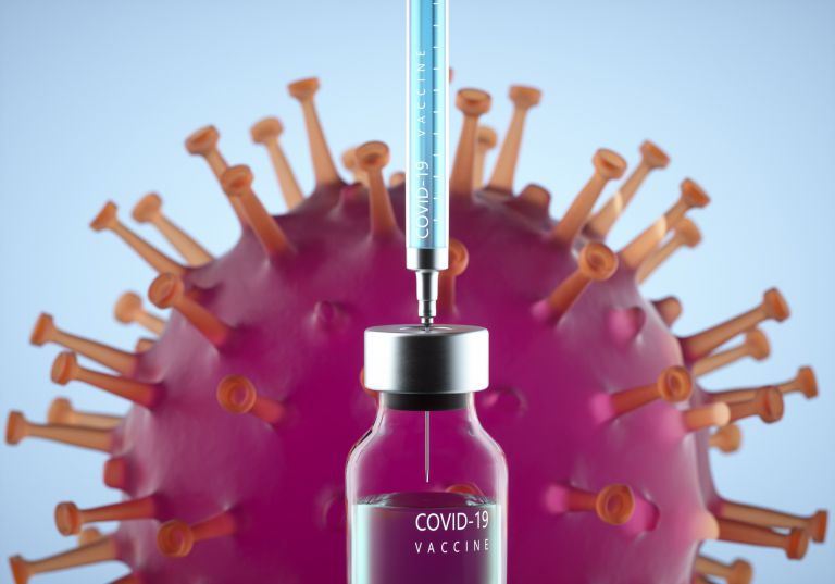 みなとみらいの健康支援システム