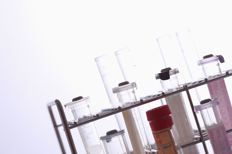 みなとみらいで健康と魅力を楽しむ